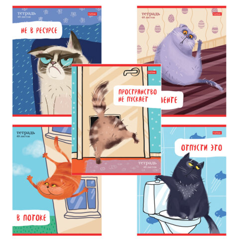 Тетрадь А5 48л. HATBER скоба, линия, обложка картон, Кот-обормот (микс в спайке), 080206, 48Т5В2