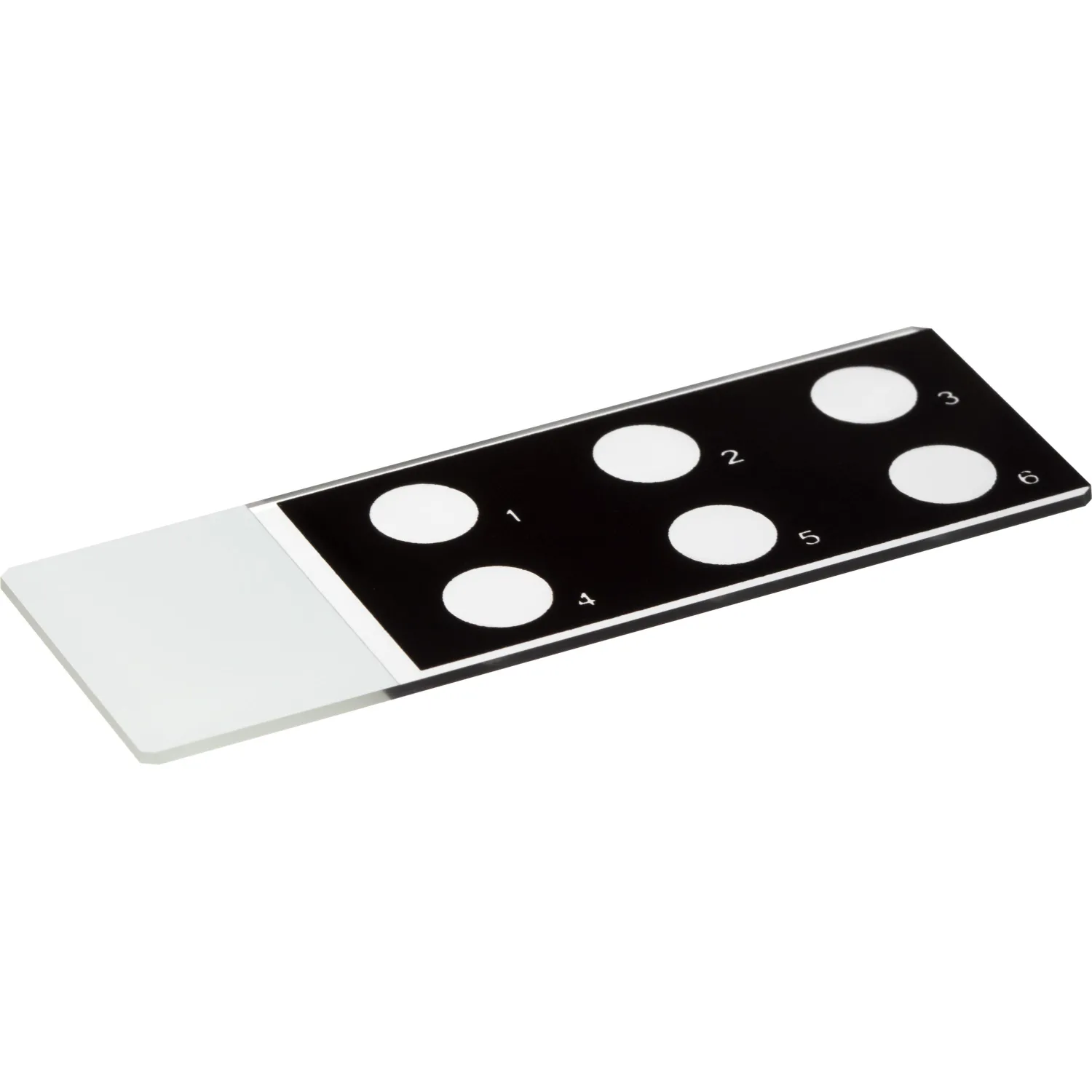 Стекло предметное 25х75х1,1 с 6-ю окошками СП-6  (50 шт/уп)