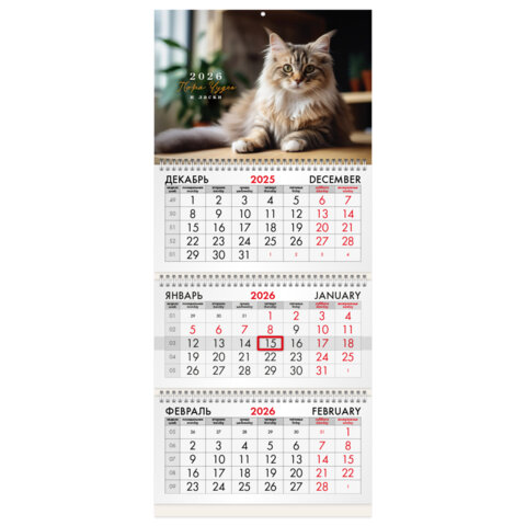 Календарь квартальный на 2026 г., 3 блока, 3 гребня, бегунок, офсет, BRAUBERG, "Кот", 116780