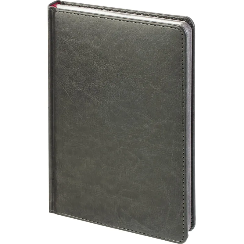 Ежедневник недатированный А5+ SIDNEY NEBRASKA серый,сереб.обр,136л 3-128/22