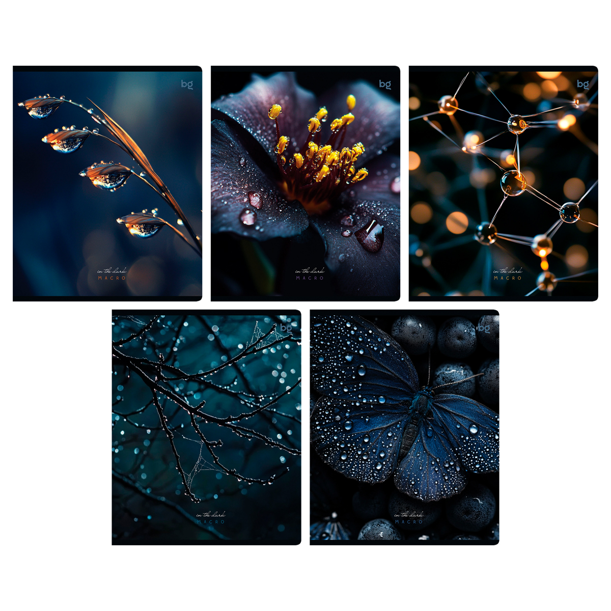 Тетрадь 48л., А5, клетка BG "В темноте", soft-touch ламинация