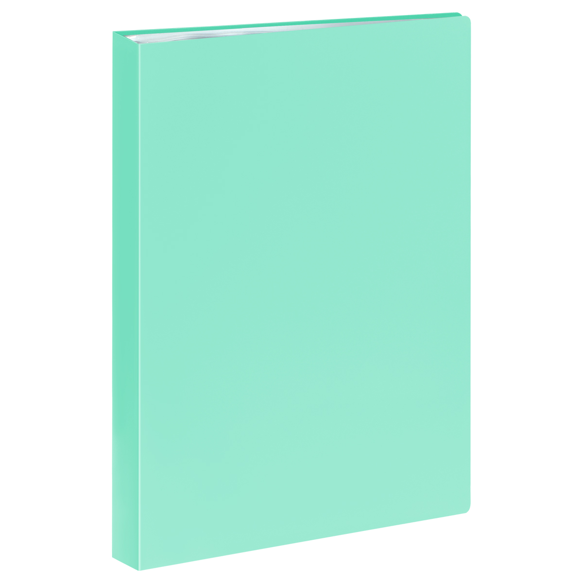 Папка с 60 вкладышами СТАММ А4, 21мм, 500мкм, пластик, пастель, мятная