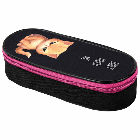 Пенал-футляр BRAUBERG, 1 отделение, органайзер, полиэстер, 22x9х5 см, "Angry kitty", 273566