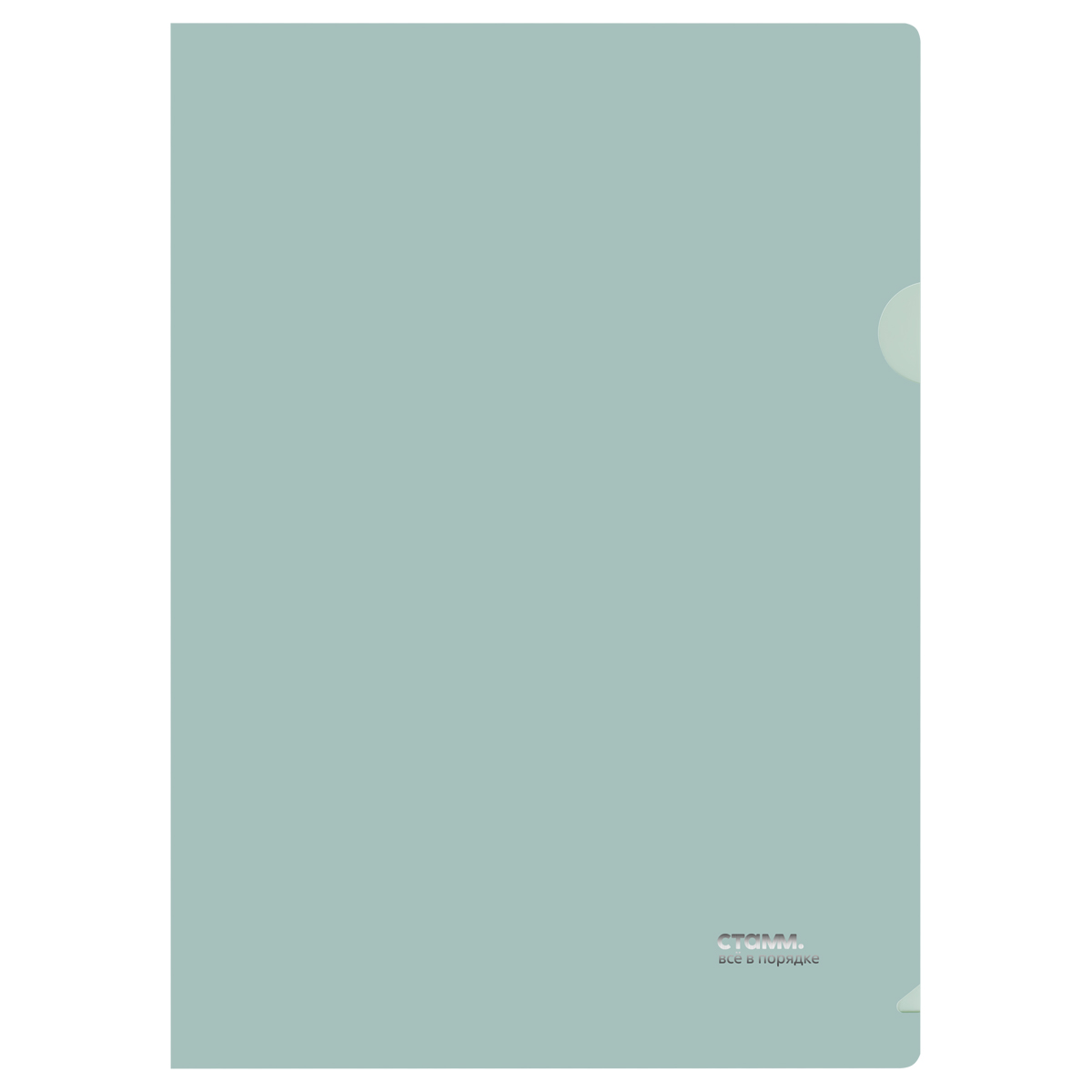 Папка-уголок СТАММ "Акцент" А4, 180мкм, пластик, непрозрачная, эвкалиптовая