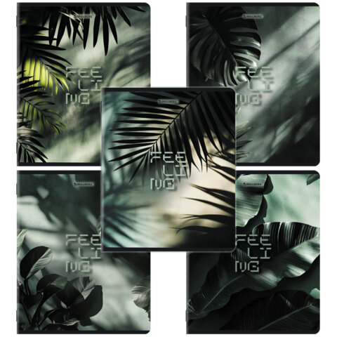 Тетради ДЭК А5 48 л. КОМПЛЕКТ 5 шт. BRAUBERG скоба, клетка, матовая ламинация, TROPICAL, 404956