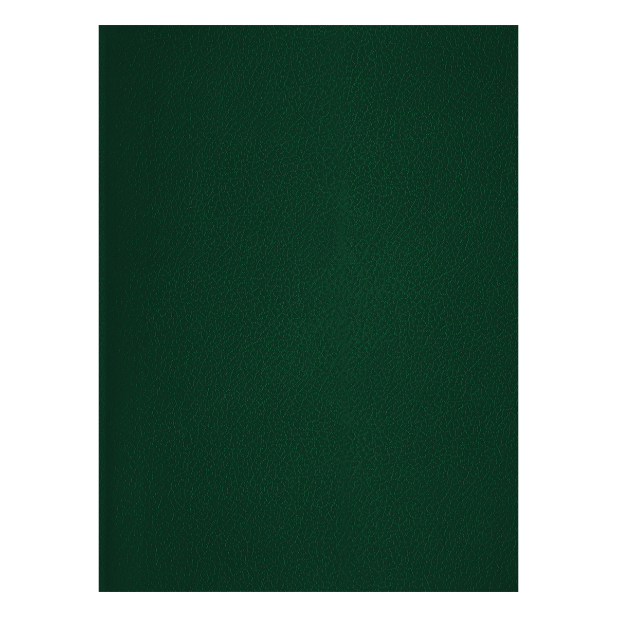 Тетрадь 48л., А4 клетка BG, бумвинил, зеленый