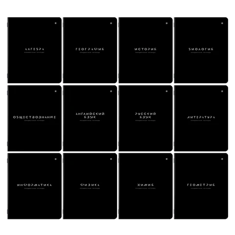 Тетради предметные, КОМПЛЕКТ 12 ПРЕДМЕТОВ 48 л., пластиковая обложка, BRAUBERG "BLACK MODE", 405541