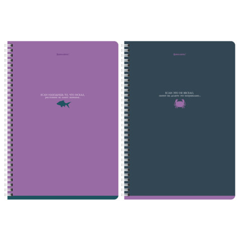 Тетради ДЭК А4 96 л. КОМПЛЕКТ 2 шт. BRAUBERG гребень, клетка, Soft Touch, MONOCOLOR, 404647