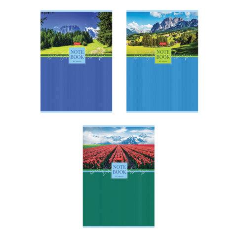 Тетрадь А4 80л. HATBER скоба, клетка, глянцевая ламинация, Живописные пейзажи (микс), 083006, 80Т4лВ1