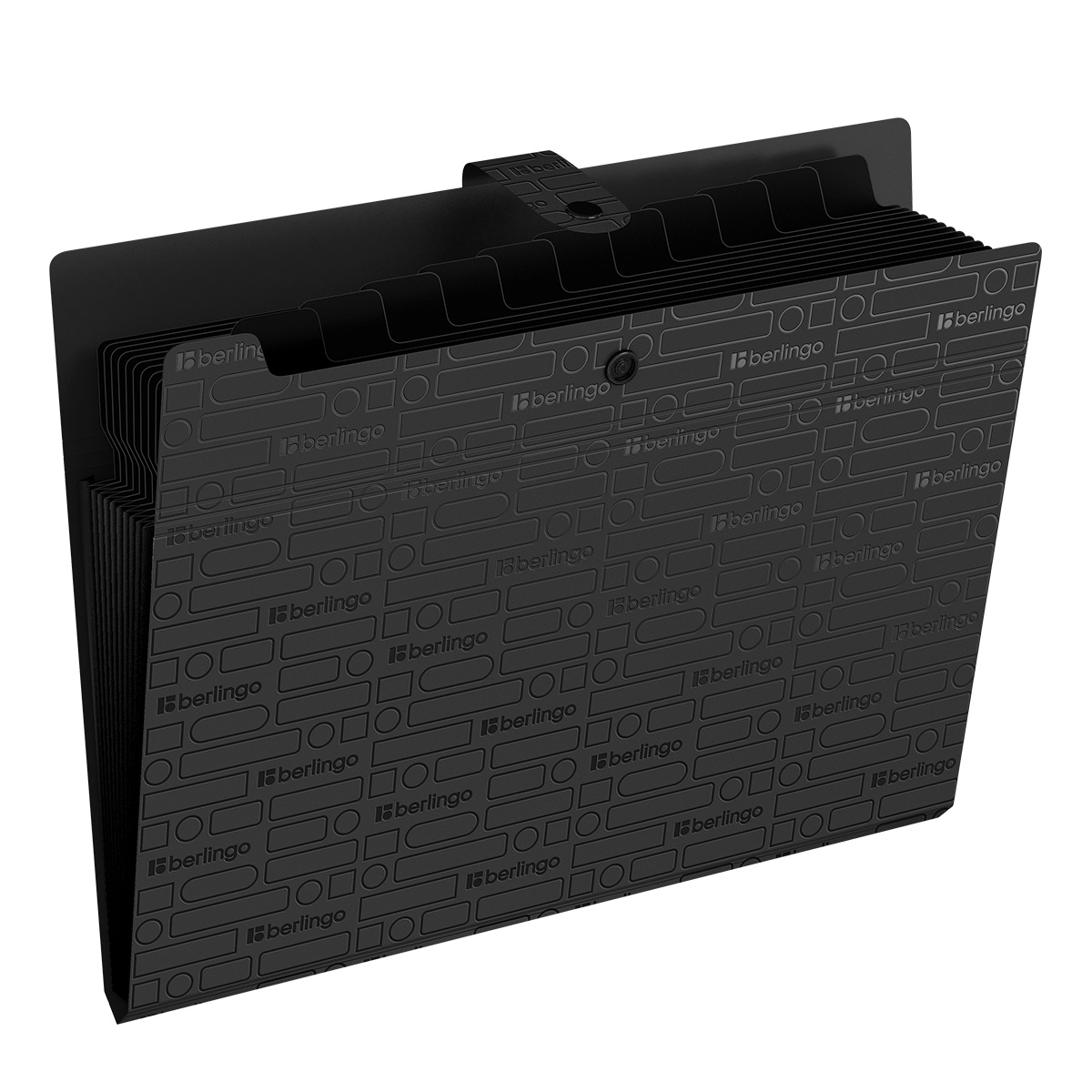 Папка 12 отделений Berlingo "Your Way", А4, 600мкм, на кнопке, черная