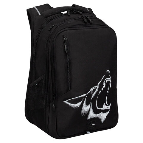 Рюкзак GRIZZLY школьный, анатом. спинка, 3 отделения, д/мальч., ANGER, 42х31х22 см, RU-538-4/1