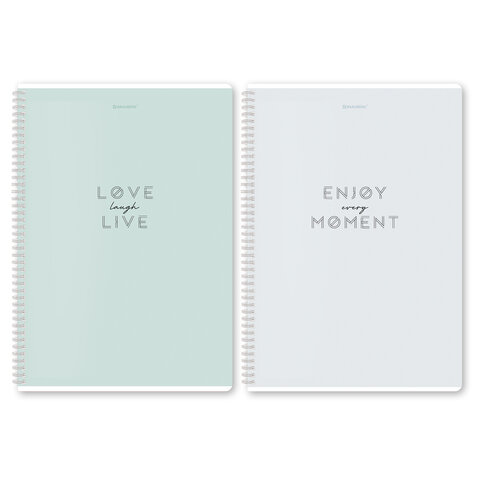 Тетради ДЭК А4 96 л. КОМПЛЕКТ 2 шт. BRAUBERG гребень, клетка, матовая ламинация, "Пастель_2", 404884