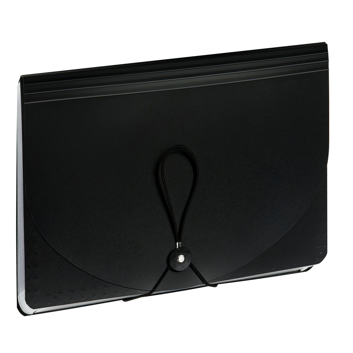 Папка-органайзер для хранения документов СТАММ А4, 25 отделений,  черный